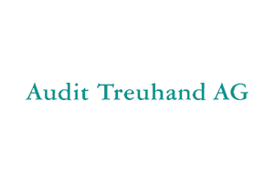 Audit Treuhand